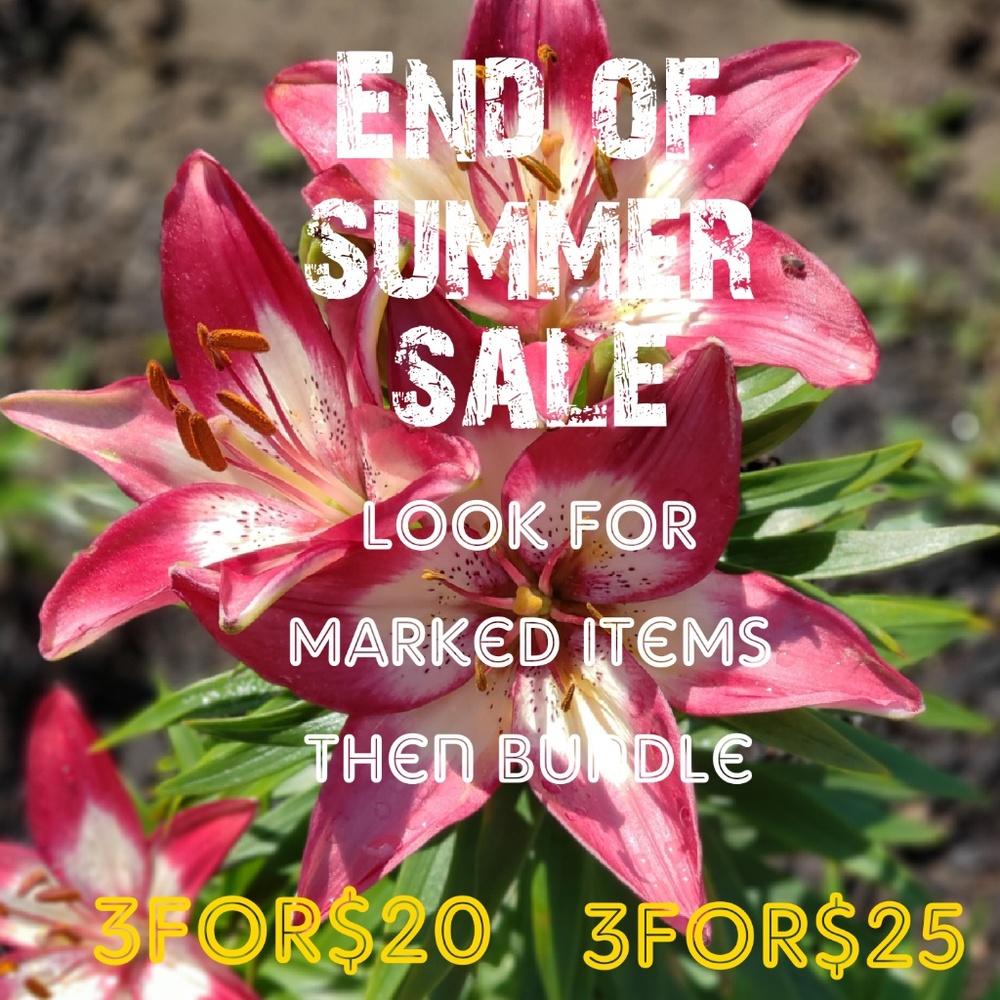 Summer sale items